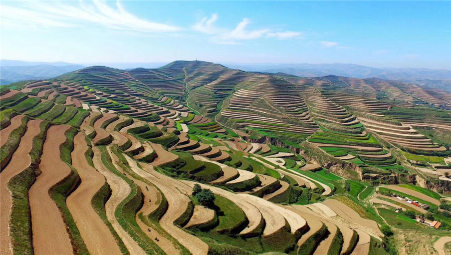 領先生物|國家重點研發(fā)計劃“黃土高原旱作適水改土與產(chǎn)能提升技術模式及應用”項目啟動 領先生物|國家重點研發(fā)計劃“黃土高原旱作適水改土與產(chǎn)能提升技術模式及應用”項目啟動
